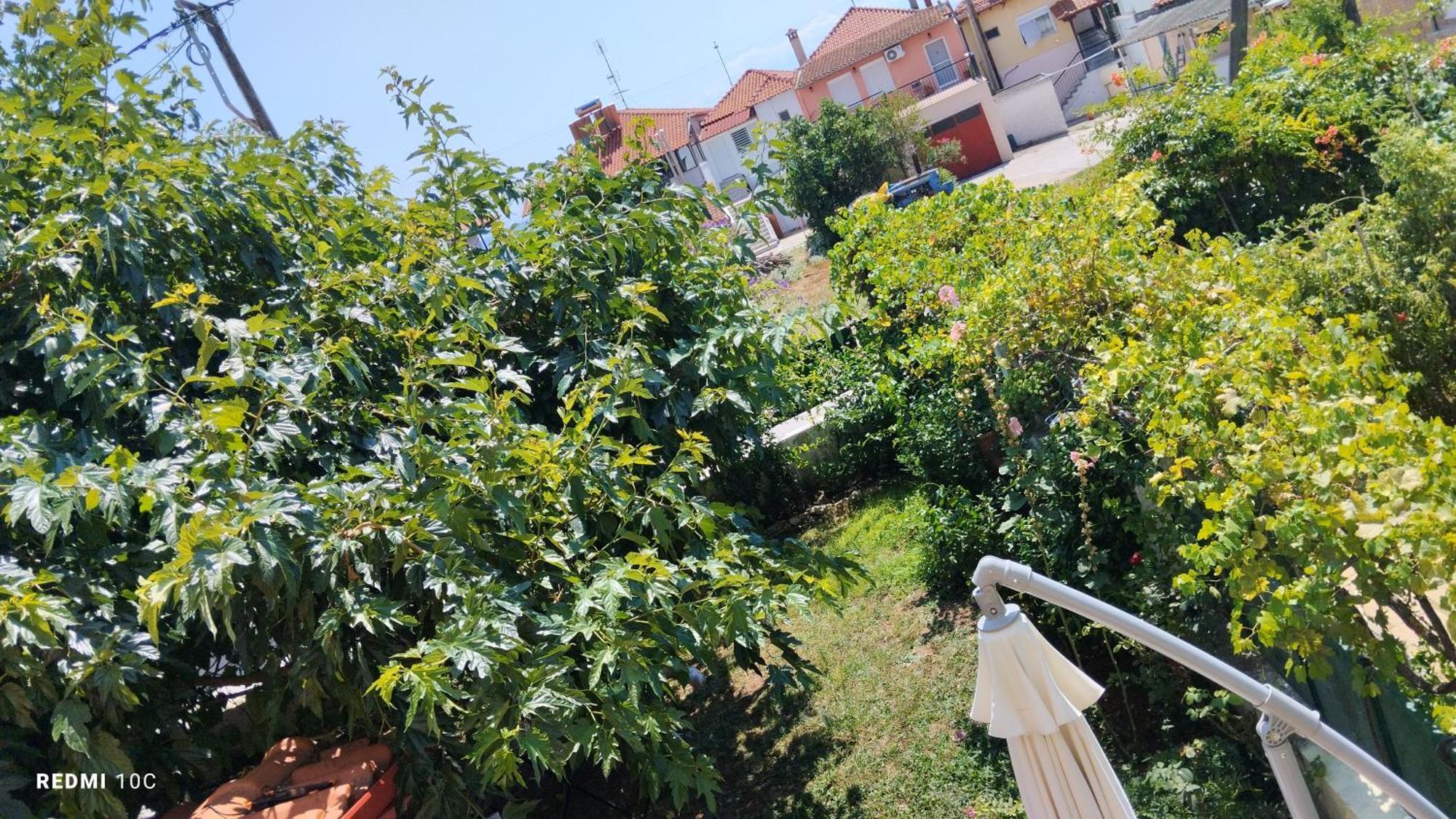 Holiday Home In Chalkidiki, Lakkoma Ngoại thất bức ảnh