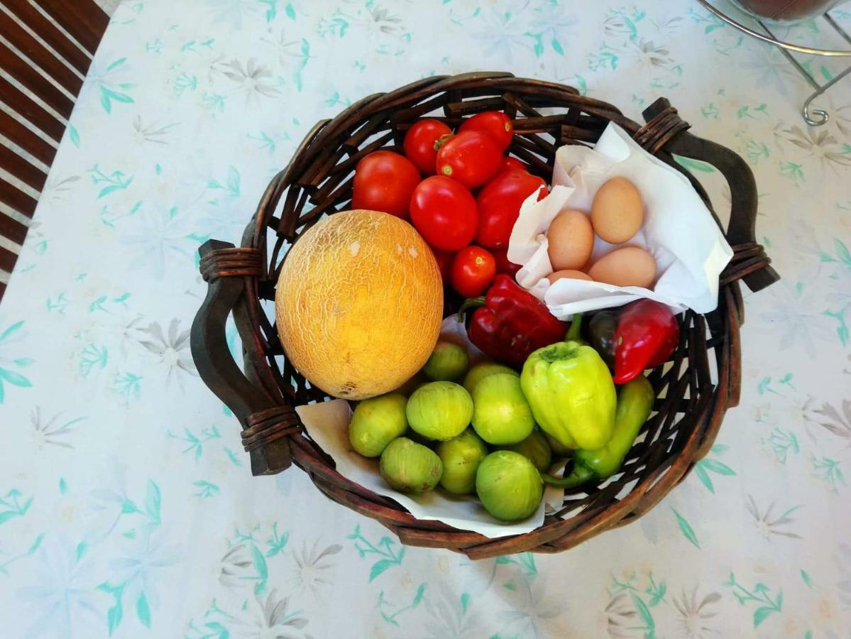Holiday Home In Chalkidiki, Lakkoma Ngoại thất bức ảnh